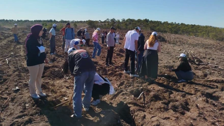 “Bugün Fidan, Yarın Nefes” etkinliğiyle Turizm Haftası kutlandı